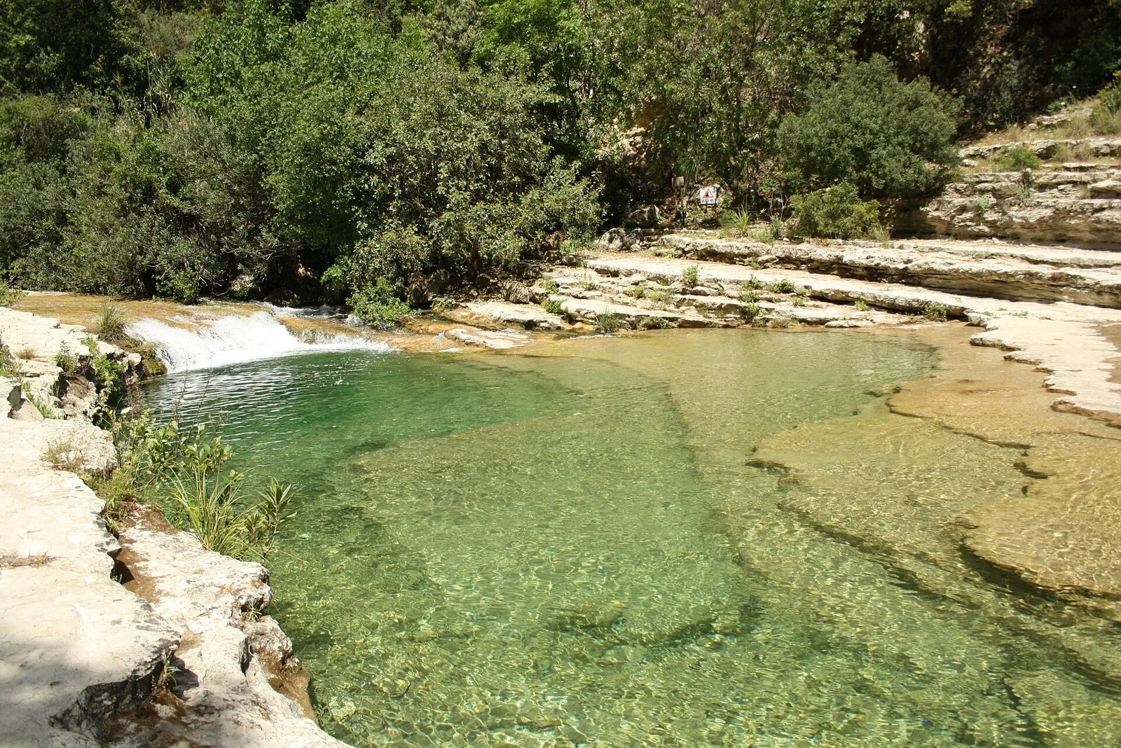 Uno dei laghetti verdi sul fondo del canyon di Cavagrande del Cassibile